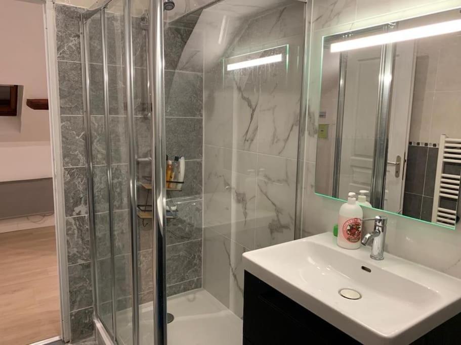 Appartement De Charme - 41M² Rosny-sur-Seine エクステリア 写真